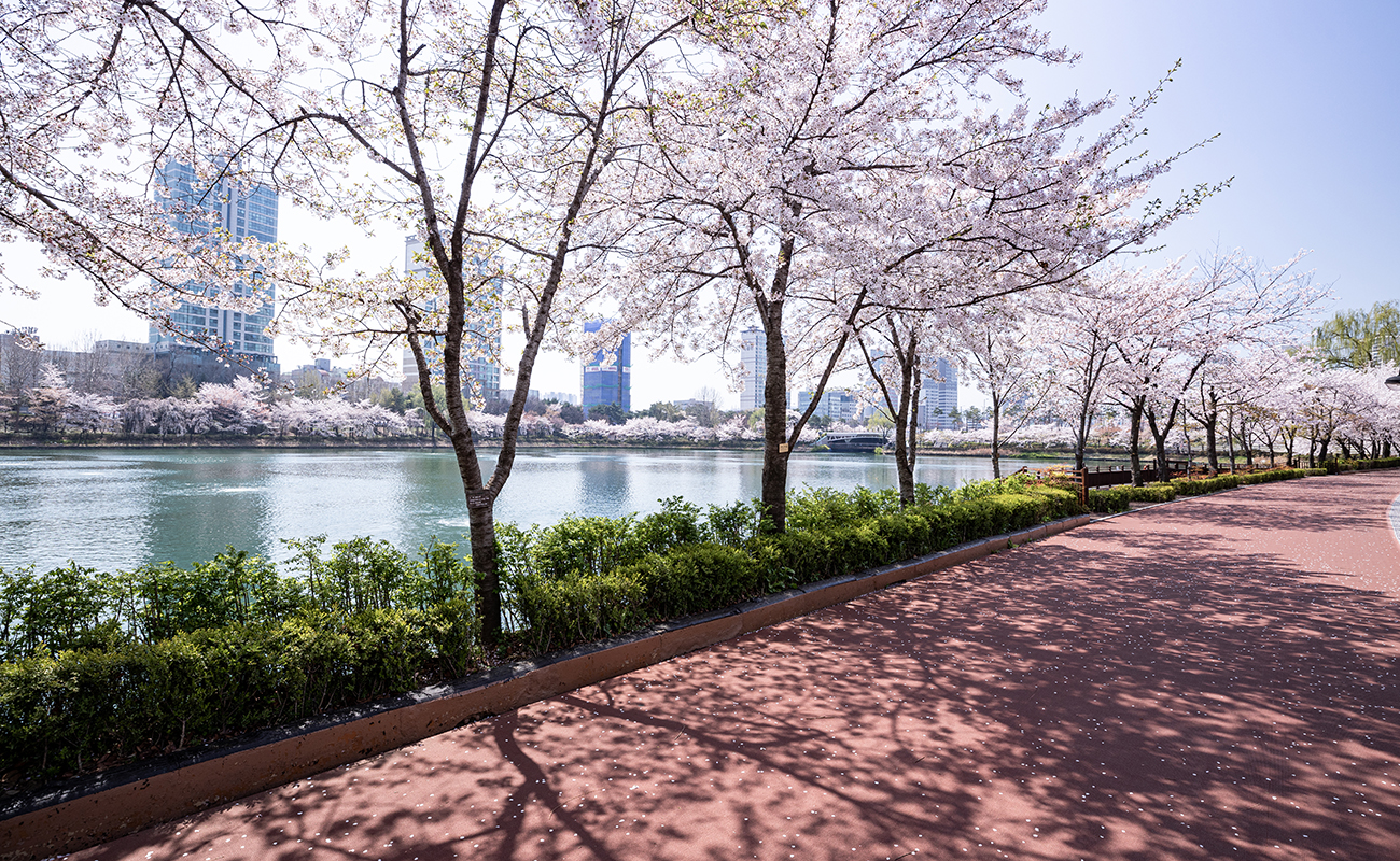 쾌적한 자연환경 